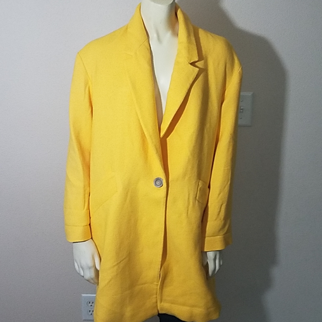 Zara Basic Jacket/Coat